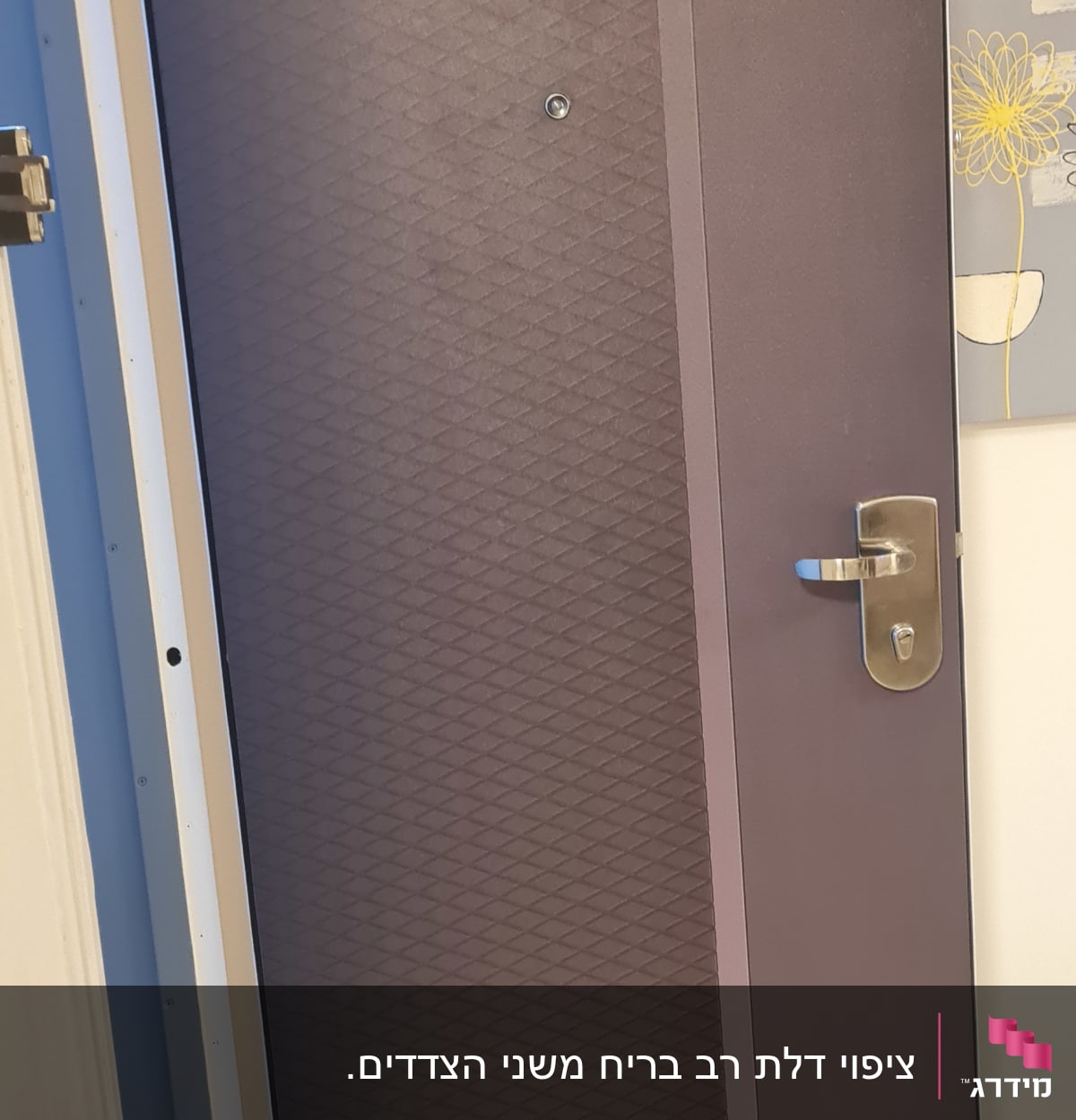 דלת חומה עם ידית מתכת ועיטור גיאומטרי